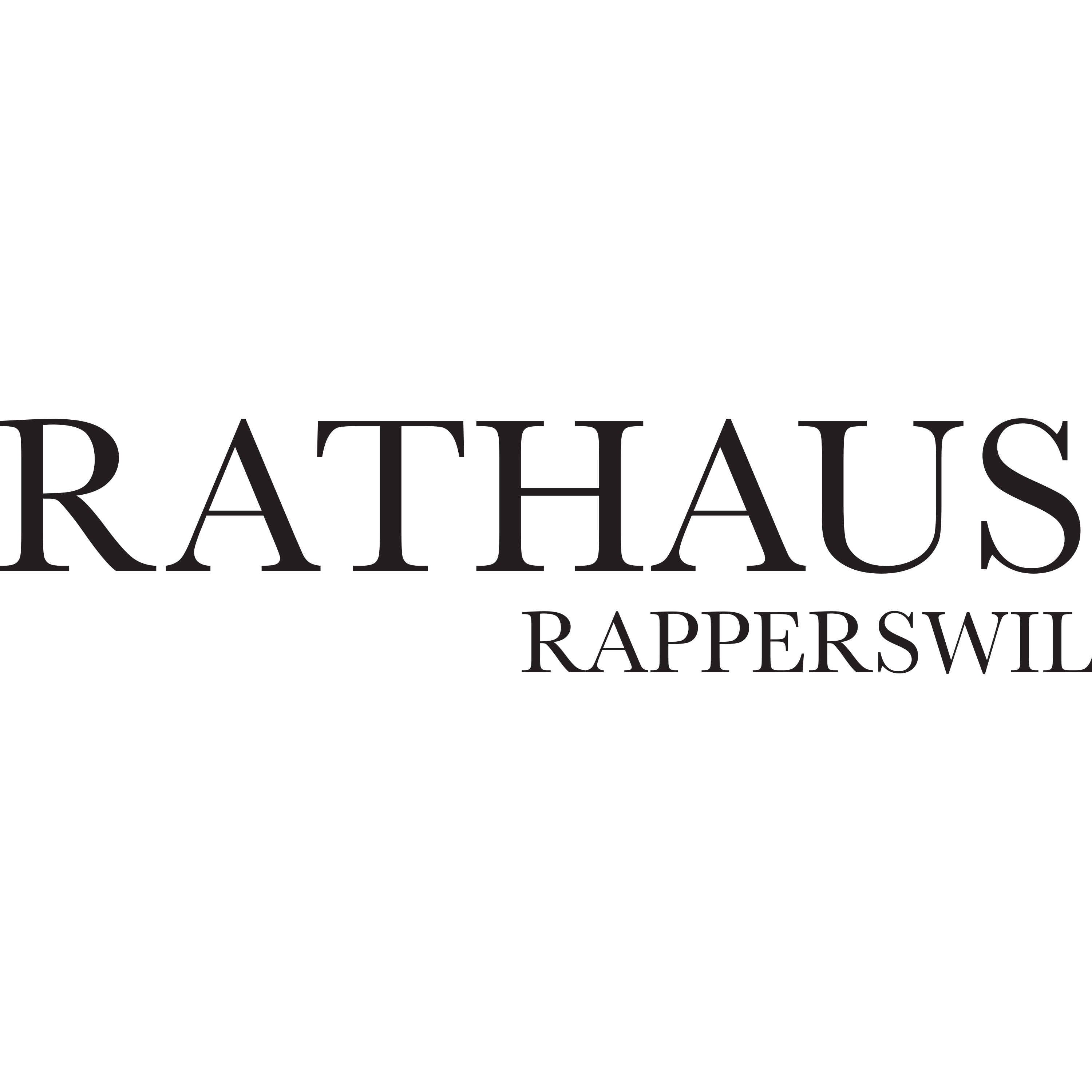 Rathaus Rapperswil